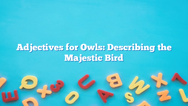 Adjectives for Owls: Describing the Majestic Bird